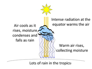 Intense radiation at the
 Air cools as it         equator warms the air
rises, moisture
condenses and
  falls as rain
                             Warm air rises,
                           collecting moisture


          Lots of rain in the tropics!
 