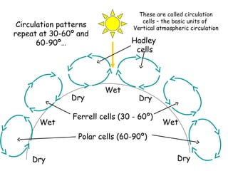 These are called circulation
                                     cells – the basic units of
 Circulation patterns             Vertical atmospheric circulation
repeat at 30-60º and
       60-90º…                   Hadley
                                  cells




                         Wet
                Dry                 Dry

                Ferrell cells (30 - 60º)
       Wet                                  Wet
                  Polar cells (60-90º)


     Dry                                          Dry
 