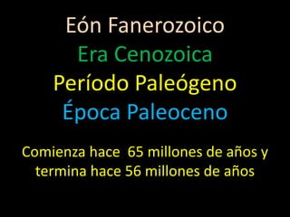Eón Fanerozoico
      Era Cenozoica
    Período Paleógeno
     Época Paleoceno
Comienza hace 65 millones de años y
  termina hace 56 millones de años
 