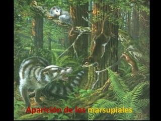 Aparición de los marsupiales
 