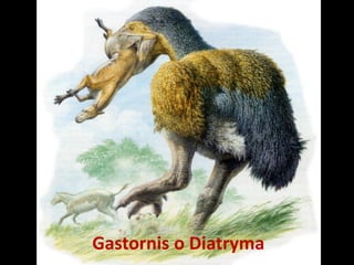 Gastornis o Diatryma
 