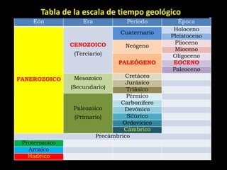 Tabla de la escala de tiempo geológico
     Eón            Era            Período        Época
                                                Holoceno
                                Cuaternario
                                               Pleistoceno
                CENOZOICO                        Plioceno
                                  Neógeno
                                                 Mioceno
                 (Terciario)                    Oligoceno
                                PALEÓGENO       EOCENO
                                                Paleoceno
                 Mesozoico        Cretáceo
FANEROZOICO
                                   Jurásico
                (Secundario)       Triásico
                                   Pérmico
                                 Carbonífero
                 Paleozoico       Devónico
                  (Primario)       Silúrico
                                 Ordovícico
                                  Cámbrico
                         Precámbrico
 Proterozoico
   Arcaico
   Hadeico
 