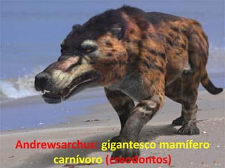 Andrewsarchus: gigantesco mamífero
      carnívoro (creodontos)
 