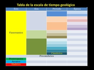 Tabla de la escala de tiempo geológico
    Eón          Era            Período    Época




Fanerozoico




                                Cámbrico
                       Precámbrico
Proterozoico
  Arcaico
  Hadeico
 