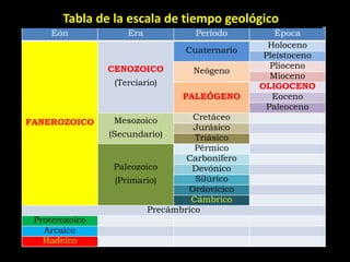 Tabla de la escala de tiempo geológico
     Eón            Era            Período         Época
                                                 Holoceno
                                Cuaternario
                                                Pleistoceno
                CENOZOICO                         Plioceno
                                  Neógeno
                                                  Mioceno
                 (Terciario)                   OLIGOCENO
                                PALEÓGENO         Eoceno
                                                 Paleoceno
                 Mesozoico        Cretáceo
FANEROZOICO
                                   Jurásico
                (Secundario)       Triásico
                                   Pérmico
                                 Carbonífero
                 Paleozoico       Devónico
                  (Primario)       Silúrico
                                 Ordovícico
                                  Cámbrico
                         Precámbrico
 Proterozoico
   Arcaico
   Hadeico
 