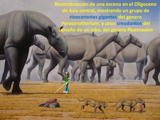 Reconstrucción de una escena en el Oligoceno
   de Asia central, mostrando un grupo de
      rinocerontes gigantes del genero
  Paraceratherium, y unos creodontos del
 tamaño de un lobo, del genero Hyaenodon
 