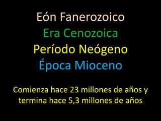 Eón Fanerozoico
       Era Cenozoica
     Período Neógeno
      Época Mioceno
Comienza hace 23 millones de años y
 termina hace 5,3 millones de años
 