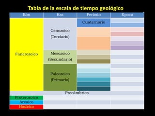 Tabla de la escala de tiempo geológico
    Eón            Era             Período     Época
                                 Cuaternario

                Cenozoico
                (Terciario)



Fanerozoico     Mesozoico
               (Secundario)


                Paleozoico
                (Primario)


                         Precámbrico
Proterozoico
  Arcaico
  Hadeico
 