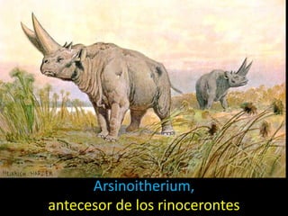 Arsinoitherium,
antecesor de los rinocerontes
 