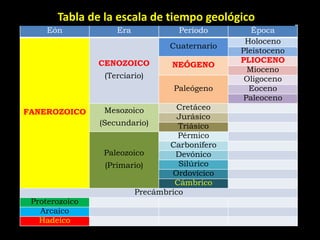Tabla de la escala de tiempo geológico
     Eón            Era            Período        Época
                                                Holoceno
                                Cuaternario
                                               Pleistoceno
                CENOZOICO                      PLIOCENO
                                 NEÓGENO
                                                 Mioceno
                 (Terciario)                    Oligoceno
                                 Paleógeno       Eoceno
                                                Paleoceno
                 Mesozoico        Cretáceo
FANEROZOICO
                                   Jurásico
                (Secundario)       Triásico
                                   Pérmico
                                 Carbonífero
                 Paleozoico       Devónico
                  (Primario)       Silúrico
                                 Ordovícico
                                  Cámbrico
                         Precámbrico
 Proterozoico
   Arcaico
   Hadeico
 