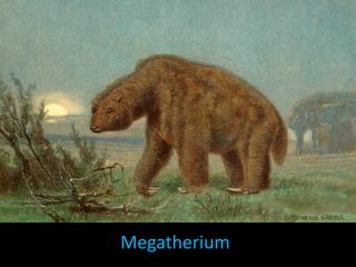 Megatherium
 