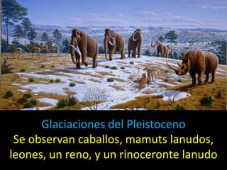 Glaciaciones del Pleistoceno
 Se observan caballos, mamuts lanudos,
leones, un reno, y un rinoceronte lanudo
 