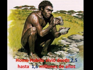 Homo Habilis vivió desde 2,5
 hasta 1,6 millones de años
 
