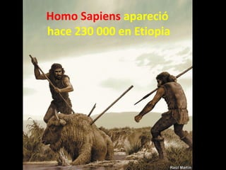 Homo Sapiens apareció
hace 230 000 en Etiopia
 
