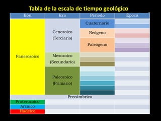 Tabla de la escala de tiempo geológico
    Eón            Era             Período     Época
                                 Cuaternario

                Cenozoico         Neógeno
                (Terciario)
                                 Paleógeno

Fanerozoico     Mesozoico
               (Secundario)


                Paleozoico
                (Primario)


                         Precámbrico
Proterozoico
  Arcaico
  Hadeico
 