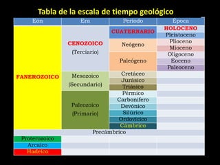 Tabla de la escala de tiempo geológico
     Eón            Era            Período        Época
                                               HOLOCENO
                               CUATERNARIO
                                               Pleistoceno
                CENOZOICO                        Plioceno
                                  Neógeno
                                                 Mioceno
                 (Terciario)                    Oligoceno
                                 Paleógeno       Eoceno
                                                Paleoceno
                 Mesozoico        Cretáceo
FANEROZOICO
                                   Jurásico
                (Secundario)       Triásico
                                   Pérmico
                                 Carbonífero
                 Paleozoico       Devónico
                  (Primario)       Silúrico
                                 Ordovícico
                                  Cámbrico
                         Precámbrico
 Proterozoico
   Arcaico
   Hadeico
 