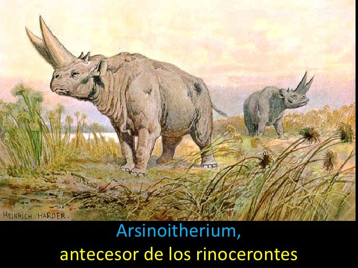 Eras Geologicas 2 Era Cenozoica