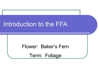 Introduction to the FFA Flower:  Baker’s Fern Term:  Foliage 