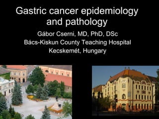 Gastric cancer epidemiology and pathology Gábor Cserni, MD, PhD, DSc Bács-Kiskun County Teaching Hospital Kecskemét, Hungary 