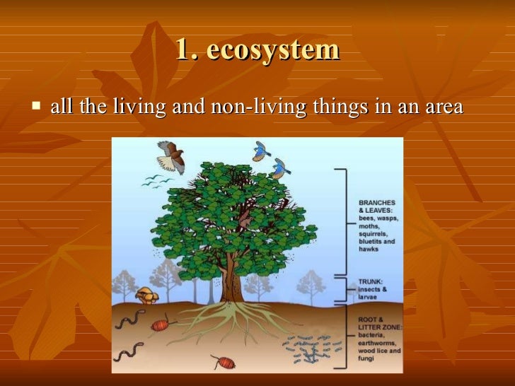 2.1 Interactions Ecosystem Notes Ch5 L1