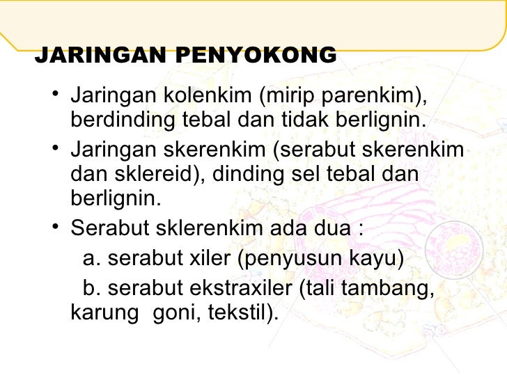 2.1 jaringan tumbuhan