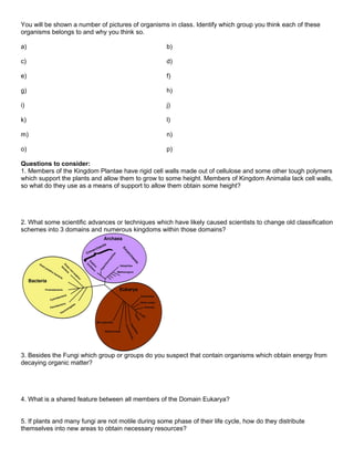 You will be shown a number of pictures of organisms in class. Identify which group you think each of these
organisms belongs to and why you think so.

a)                                                   b)

c)                                                   d)

e)                                                   f)

g)                                                   h)

i)                                                   j)

k)                                                   l)

m)                                                   n)

o)                                                   p)

Questions to consider:
1. Members of the Kingdom Plantae have rigid cell walls made out of cellulose and some other tough polymers
which support the plants and allow them to grow to some height. Members of Kingdom Animalia lack cell walls,
so what do they use as a means of support to allow them obtain some height?




2. What some scientific advances or techniques which have likely caused scientists to change old classification
schemes into 3 domains and numerous kingdoms within those domains?




3. Besides the Fungi which group or groups do you suspect that contain organisms which obtain energy from
decaying organic matter?




4. What is a shared feature between all members of the Domain Eukarya?


5. If plants and many fungi are not motile during some phase of their life cycle, how do they distribute
themselves into new areas to obtain necessary resources?
 