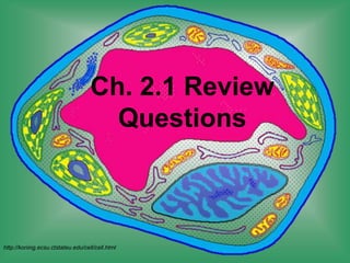Ch. 2.1 Review
Questions
http://koning.ecsu.ctstateu.edu/cell/cell.html
 