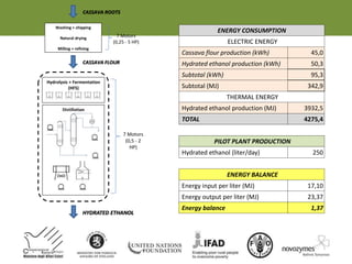 ENERGY CONSUMPTION
ELECTRIC ENERGY
Cassava flour production (kWh) 45,0
Hydrated ethanol production (kWh) 50,3
Subtotal (kWh) 95,3
Subtotal (MJ) 342,9
THERMAL ENERGY
Hydrated ethanol production (MJ) 3932,5
TOTAL 4275,4
PILOT PLANT PRODUCTION
Hydrated ethanol (liter/day) 250
ENERGY BALANCE
Energy input per liter (MJ) 17,10
Energy output per liter (MJ) 23,37
Energy balance 1,37
Washing + chipping
Natural drying
Milling + refining
Hydrolysis + Fermentation
(HFS)
Distillation
CASSAVA FLOUR
HYDRATED ETHANOL
7 Motors
(0,25 - 5 HP)
7 Motors
(0,5 - 2
HP)
CASSAVA ROOTS
 