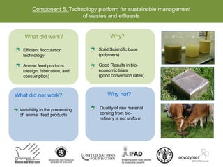 Component 5. Technology platform for sustainable management
of wastes and effluents
What did work?
Efficient flocculation
technology
Animal feed products
(design, fabrication, and
consumption)
What did not work?
Variability in the processing
of animal feed products
Why?
Solid Scientific base
(polymers)
Good Results in bio-
economic trials
(good conversion rates)
Why not?
Quality of raw material
coming from bio-
refinery is not uniform
 