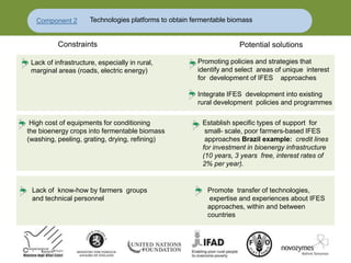 High cost of equipments for conditioning Establish specific types of support for
the bioenergy crops into fermentable biomass small- scale, poor farmers-based IFES
(washing, peeling, grating, drying, refining) approaches Brazil example: credit lines
for investment in bioenergy infrastructure
(10 years, 3 years free, interest rates of
2% per year).
Lack of know-how by farmers groups Promote transfer of technologies,
and technical personnel expertise and experiences about IFES
approaches, within and between
countries
Component 2 Technologies platforms to obtain fermentable biomass
Constraints Potential solutions
Lack of infrastructure, especially in rural,
marginal areas (roads, electric energy)
Promoting policies and strategies that
identify and select areas of unique interest
for development of IFES approaches
Integrate IFES development into existing
rural development policies and programmes
 