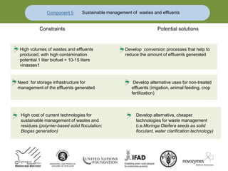 Component 5 Sustainable management of wastes and effluents
Constraints Potential solutions
Need for storage infrastructure for Develop alternative uses for non-treated
management of the effluents generated effluents (irrigation, animal feeding, crop
fertilization)
High cost of current technologies for Develop alternative, cheaper
sustainable management of wastes and technologies for waste management
residues (polymer-based solid floculation; (i.e.Moringa Oleifera seeds as solid
Biogas generation) floculant, water clarification technology)
High volumes of wastes and effluents
produced, with high contamination
potential 1 liter biofuel = 10-15 liters
vinasses1
Develop conversion processes that help to
reduce the amount of effluents generated
 