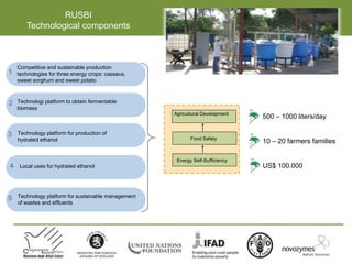 RUSBI
Technological components
1
4
5
2
3
Competitive and sustainable production
technologies for three energy crops: cassava,
sweet sorghum and sweet potato
Local uses for hydrated ethanol
Technology platform for sustainable management
of wastes and effluents
Technology platform for production of
hydrated ethanol
Technologi platform to obtain fermentable
biomass
Agricultural Development
Food Safety
Energy Self-Sufficiency
500 – 1000 liters/day
10 – 20 farmers families
US$ 100.000
 