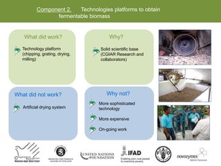 Component 2. Technologies platforms to obtain
fermentable biomass
What did not work?
Artificial drying system
What did work?
Technology platform
(chipping, grating, drying,
milling)
Why?
Solid scientific base
(CGIAR Research and
collaborators)
Why not?
More sophisticated
technology
More expensive
On-going work
 