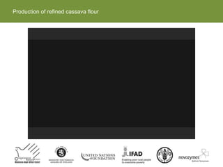 Production of refined cassava flour
 