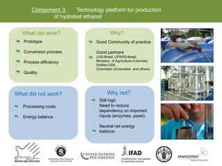 Component 3. Technology platform for production
of hydrated ethanol
What did not work?
Processing costs
Energy balance
Why not?
Still high
Need to reduce
dependency on imported
inputs (enzymes, yeast)
Neutral net energy
balance
What did work?
Prototype
Conversion process
Process efficiency
Quality
Why?
Good Community of practice
Good partners
(USI-Brasil, UFRGS-Brasil,
Ministery of Agriculture-Colombia,
SoilNet-USA,
Colombian Universities and others)
 
