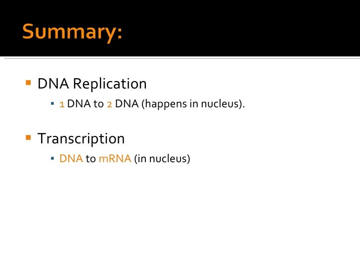2 2 transcription dna replication and transcription venn diagram