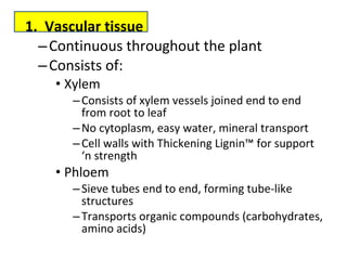 Vascular tissue  Continuous throughout the plant  Consists of:  Xylem  Consists of xylem vessels joined end to end from root to leaf  No cytoplasm, easy water, mineral transport  Cell walls with Thickening Lignin™ for support ‘n strength  Phloem  Sieve tubes end to end, forming tube‐like structures  Transports organic compounds (carbohydrates, amino acids) 