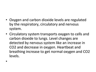 Oxygen and carbon dioxide levels are regulated by the respiratory, circulatory and nervous system.  Circulatory system transports oxygen to cells and carbon dioxide to lungs. Level changes are detected by nervous system like an increase in CO2 and decrease in oxygen. Heartbeat and breathing increase to get normal oxygen and CO2 levels.    