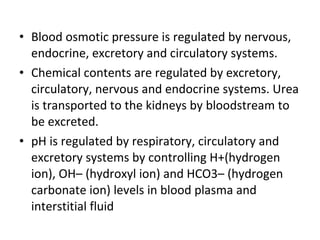 Blood osmotic pressure is regulated by nervous, endocrine, excretory and circulatory systems.  Chemical contents are regulated by excretory, circulatory, nervous and endocrine systems. Urea is transported to the kidneys by bloodstream to be excreted.  pH is regulated by respiratory, circulatory and excretory systems by controlling H+(hydrogen ion), OH– (hydroxyl ion) and HCO3– (hydrogen carbonate ion) levels in blood plasma and interstitial fluid 