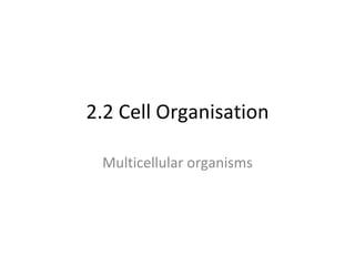 2.2 Cell Organisation Multicellular organisms 