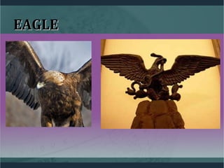 EAGLEEAGLE
 