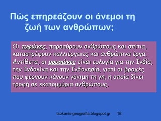 Πώς επηρεάζουν οι άνεμοι τη
  ζωή των ανθρώπων;

Οι τυφώνες, παρασύρουν ανθρώπους και σπίτια,
καταστρέφουν καλλιέργειες και ανθρώπινα έργα.
Αντίθετα, οι μουσώνες είναι ευλογία για την Ινδία,
την Ινδοκίνα και την Ινδονησία, γιατί οι βροχές
που φέρνουν κάνουν γόνιμη τη γη, η οποία δίνει
τροφή σε εκατομμύρια ανθρώπους.



               tsokanis-geografia.blogspot.gr   18
 
