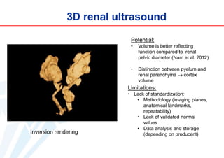 3D renal ultrasound
Potential:
•

Volume is better reflecting
function compared to renal
pelvic diameter (Nam et al. 2012)

•

Distinction between pyelum and
renal parenchyma  cortex
volume

Limitations:

Inversion rendering

• Lack of standardization:
• Methodology (imaging planes,
anatomical landmarks,
repeatability)
• Lack of validated normal
values
• Data analysis and storage
(depending on producent)

 