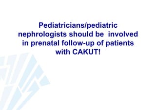 Pediatricians/pediatric
nephrologists should be involved
in prenatal follow-up of patients
with CAKUT!

 