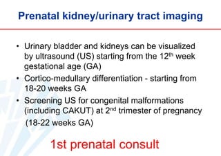 Prenatal kidney/urinary tract imaging
• Urinary bladder and kidneys can be visualized
by ultrasound (US) starting from the 12th week
gestational age (GA)
• Cortico-medullary differentiation - starting from
18-20 weeks GA
• Screening US for congenital malformations
(including CAKUT) at 2nd trimester of pregnancy
(18-22 weeks GA)

1st prenatal consult

 