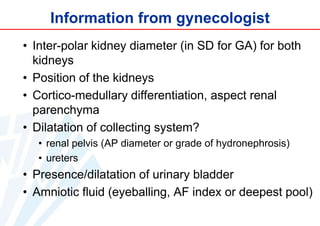 Information from gynecologist
• Inter-polar kidney diameter (in SD for GA) for both
kidneys
• Position of the kidneys
• Cortico-medullary differentiation, aspect renal
parenchyma
• Dilatation of collecting system?
• renal pelvis (AP diameter or grade of hydronephrosis)
• ureters

• Presence/dilatation of urinary bladder
• Amniotic fluid (eyeballing, AF index or deepest pool)

 