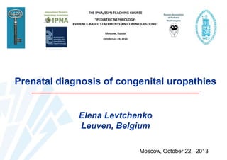 Prenatal diagnosis of congenital uropathies

Elena Levtchenko
Leuven, Belgium
Moscow, October 22, 2013

 