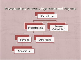 Protestantism, Puritans, Separatism and Pilgrims
 