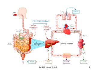 dying process asu asijsduv usijs ois9jo | PPT