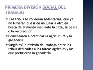   Las tribus se volvieran sedentarias, que ya
  no tuvieran que ir de un lugar a otro en
  busca de alimento mediante la caza, la pesca
  o la recolección.
 Comenzaron a practicar la agricultura y la
  ganadería.
 Surgió así la división del trabajo entre las
  tribus dedicadas a las tareas agrícolas y las
  que prefirieron la ganadería.
 